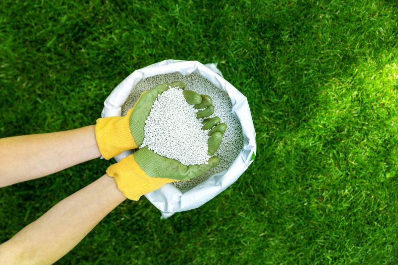Expert Lawn Care Advice