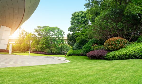 Cost of Commercial Lawn Mowing in Bossier City