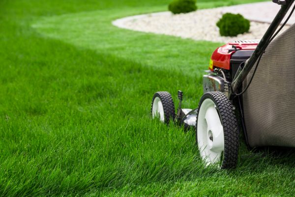 Cost of Lawn Service in Bossier City