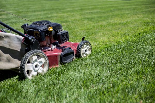 Cost of Routine Lawn Care in Bossier City