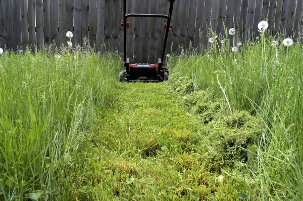 Cost of High Grass Mowing in Bossier City