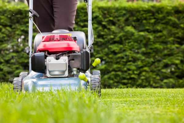 Grass Trimming Service in Bossier City