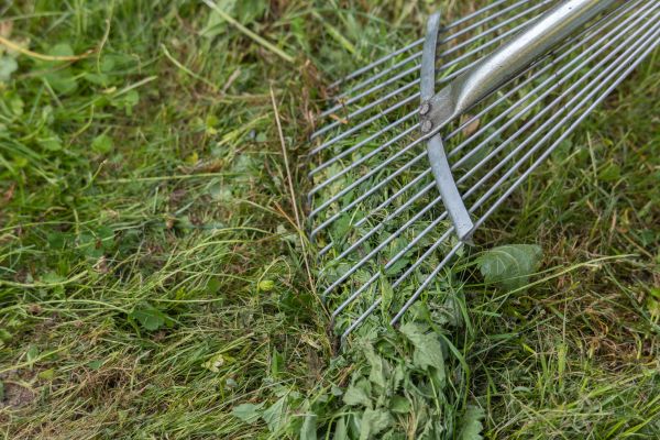 Thatch Raking in Bossier City