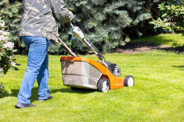 Springtime Lawn Care in Bossier City