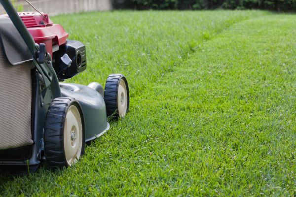 Spring Lawn Maintenance in Bossier City
