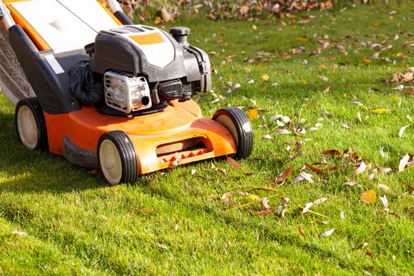 Cost of Fall Mowing in Bossier City