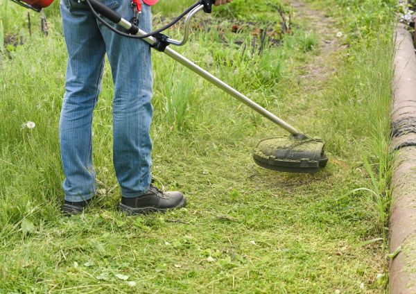 Cost of Tall Grass Trimming in Bossier City